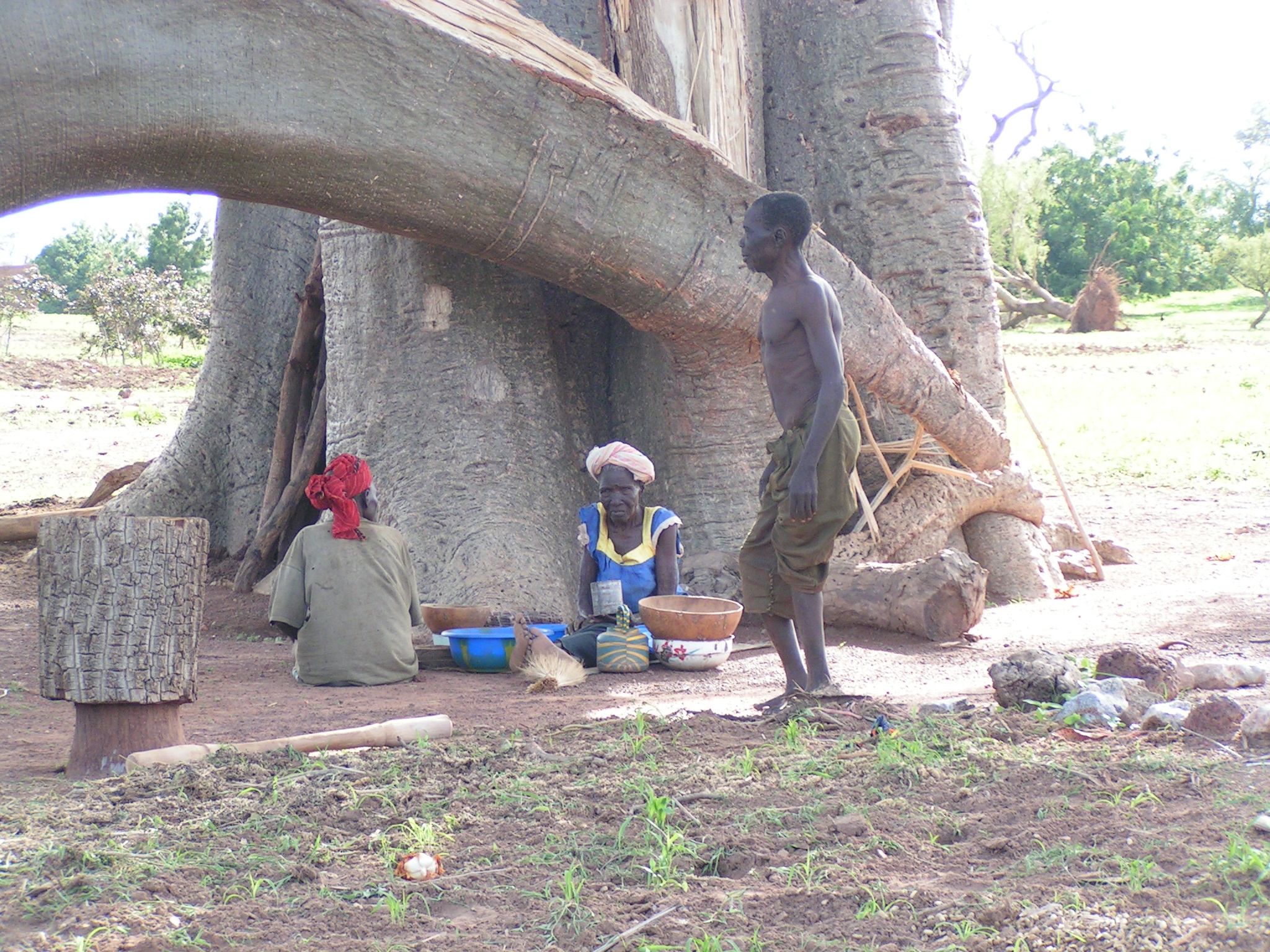 5cb473478d5c7_Burkina été 2006 - 0107.JPG